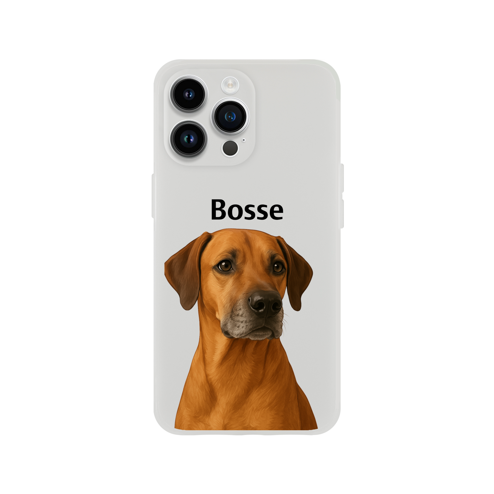 0eae1e79-7a5e-4e4f-89ce-d989ab498758