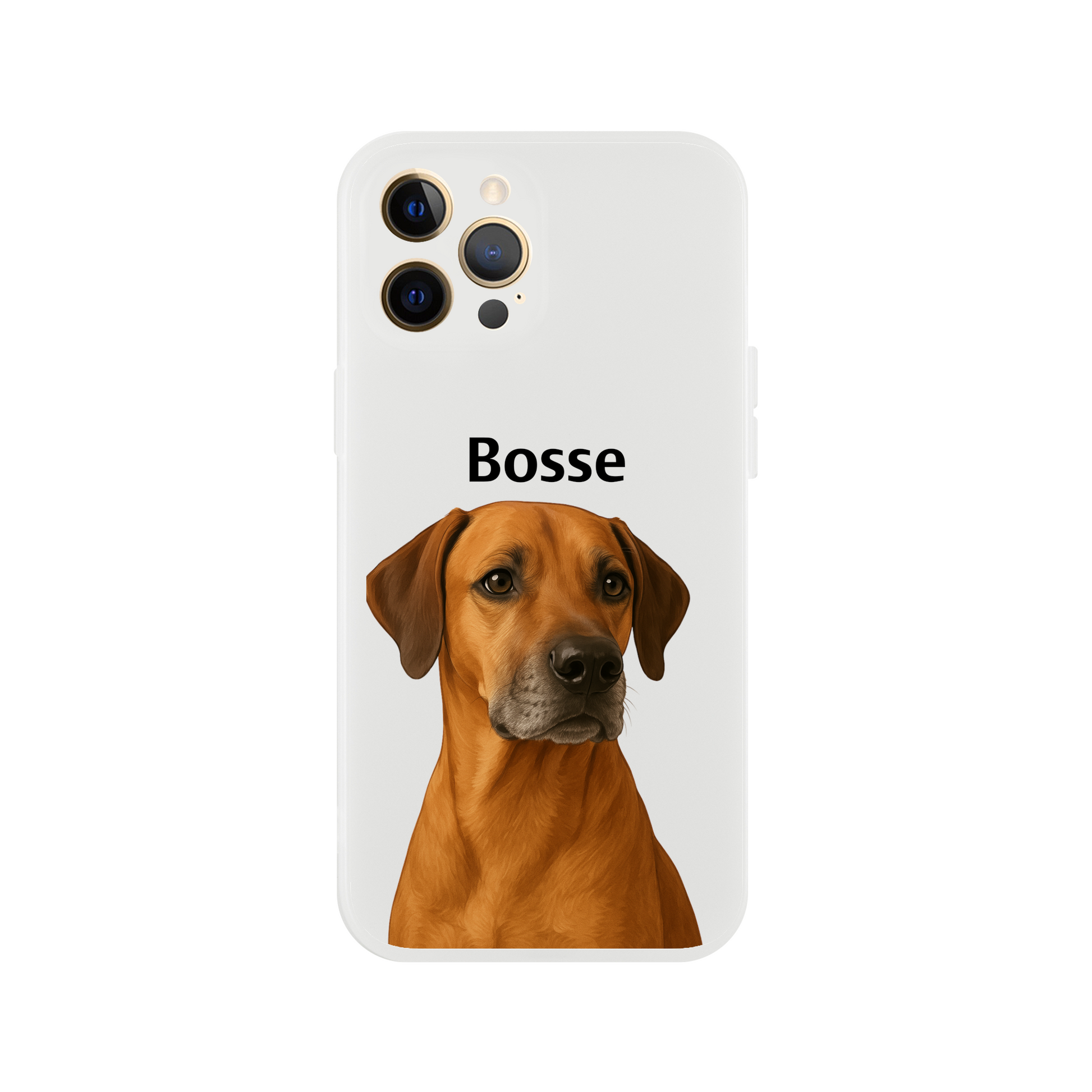 23a2c779-8dcb-407a-aab9-de6cd530af1c