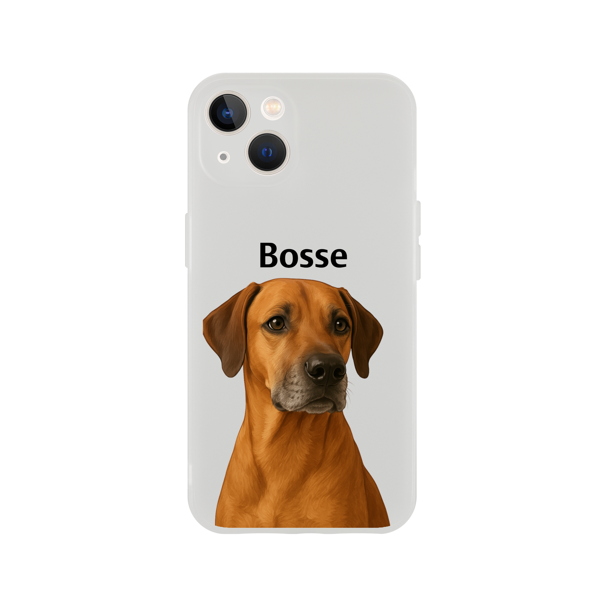 25215f5e-e31f-4346-a73c-fdde82c9548b