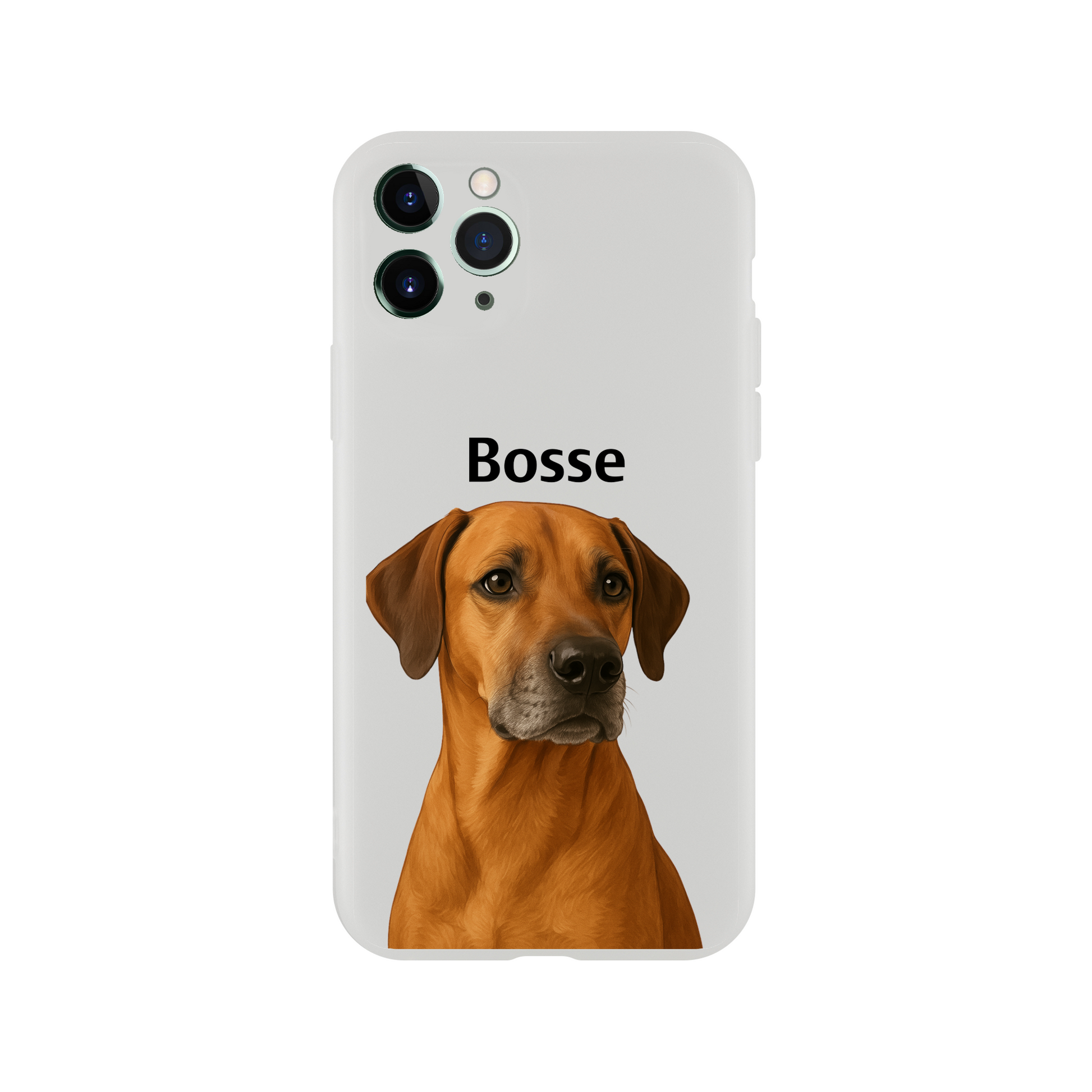 284f9af1-05c2-4de6-b676-177262396d44