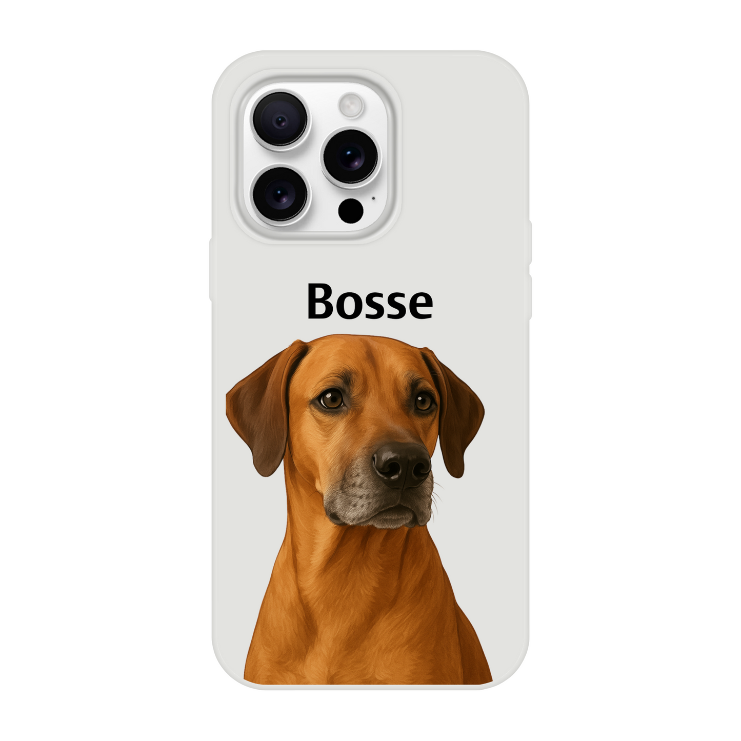 2a46463d-2160-4c9c-b802-19e37764ea87