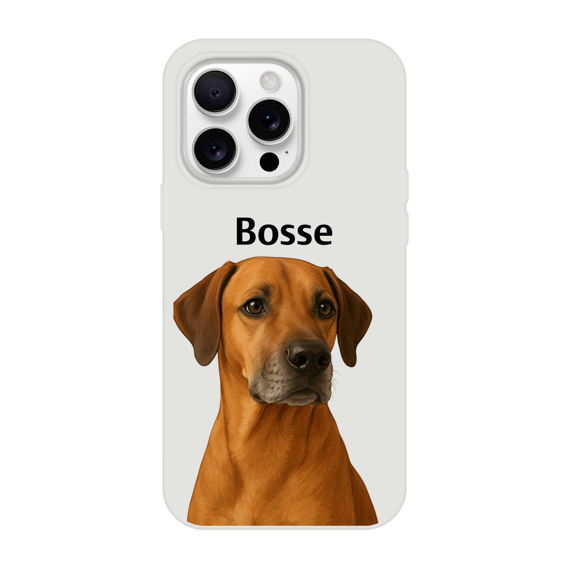 2a46463d-2160-4c9c-b802-19e37764ea87