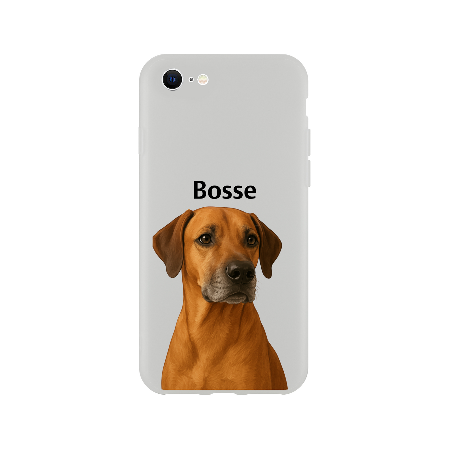 2a66eab2-5568-4406-abc4-92b15b2f621d