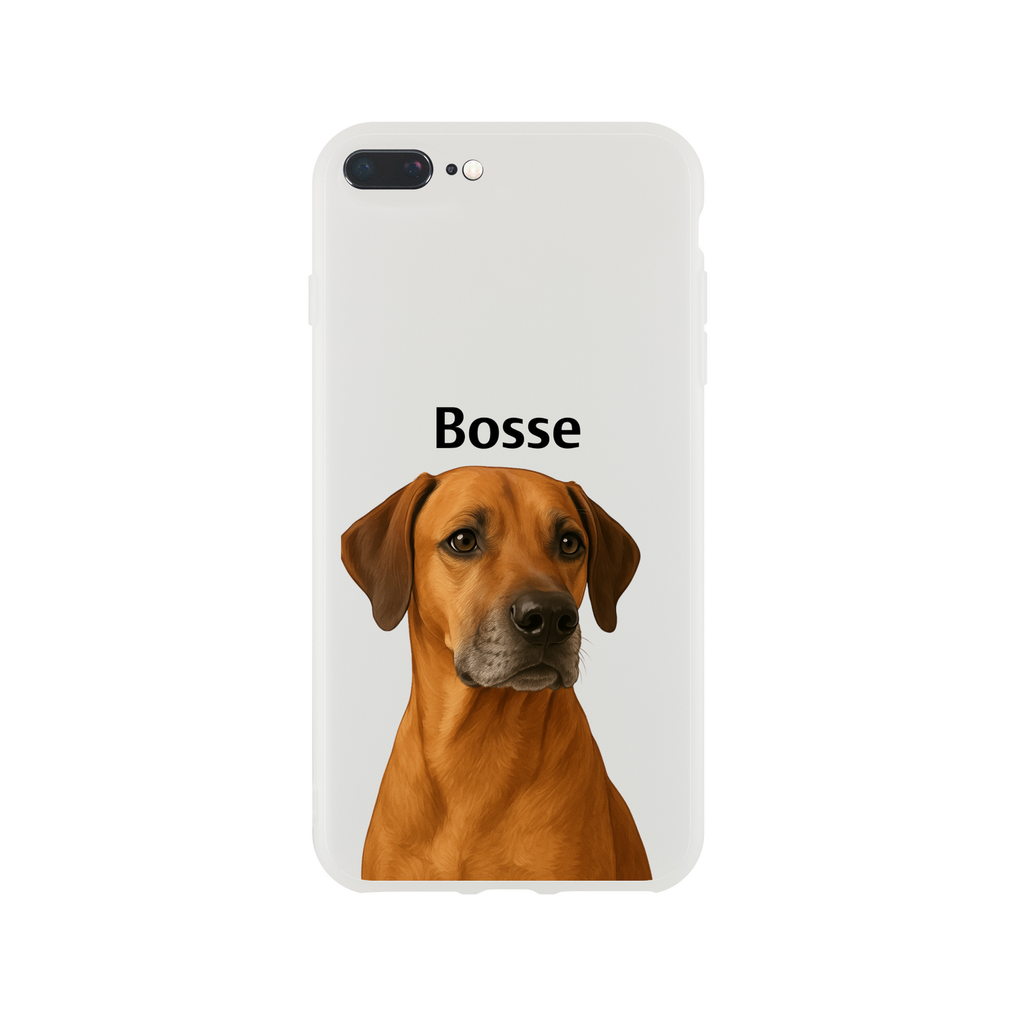 2fb3858c-df0a-43d3-88f0-faa1dc2351d1