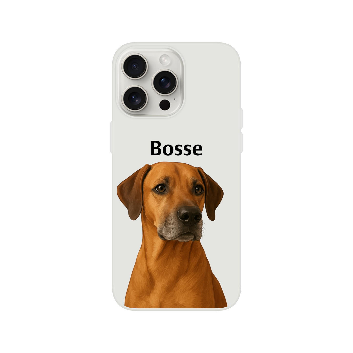 61a00f33-9f3a-4883-b84e-ee863abb8ce9