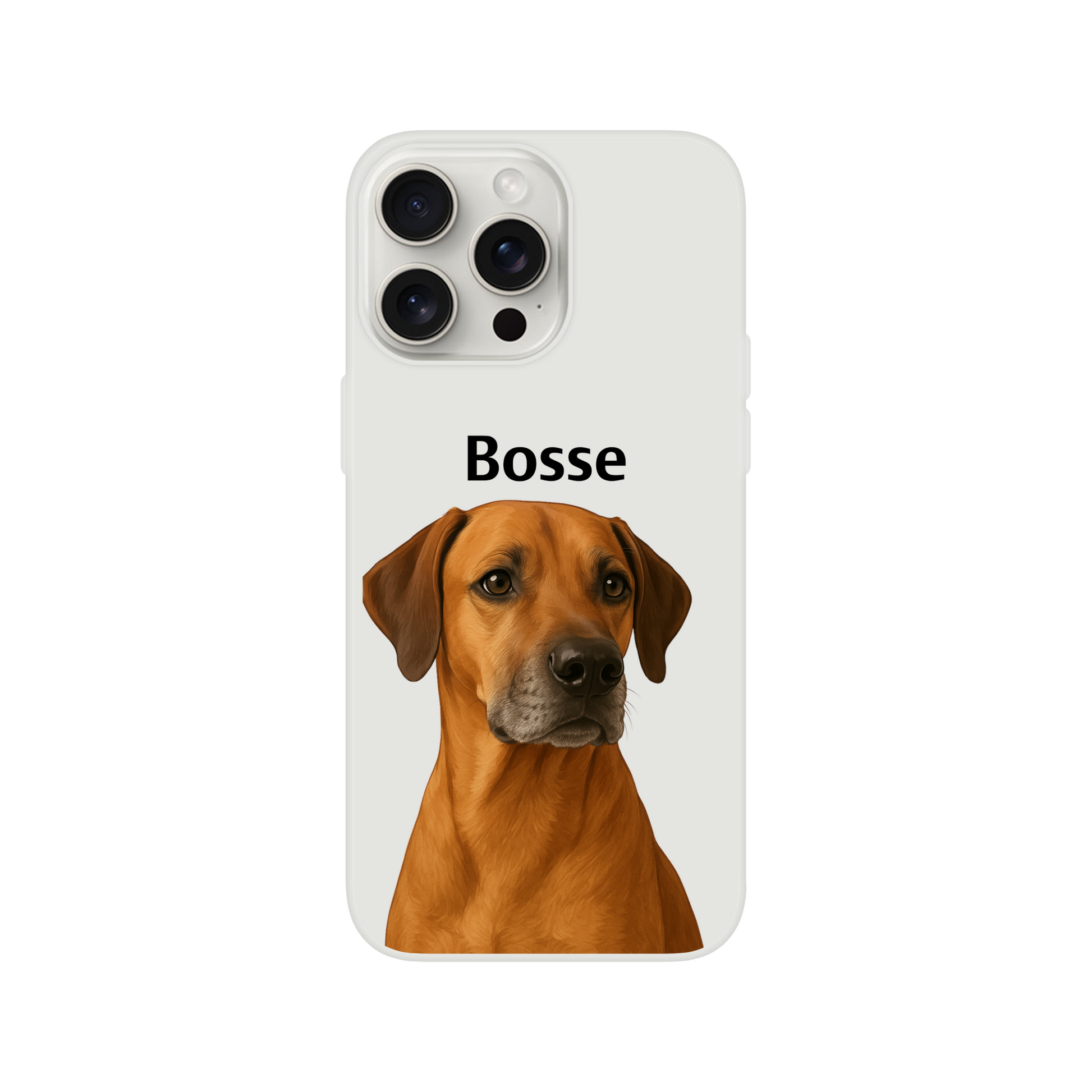 61a00f33-9f3a-4883-b84e-ee863abb8ce9