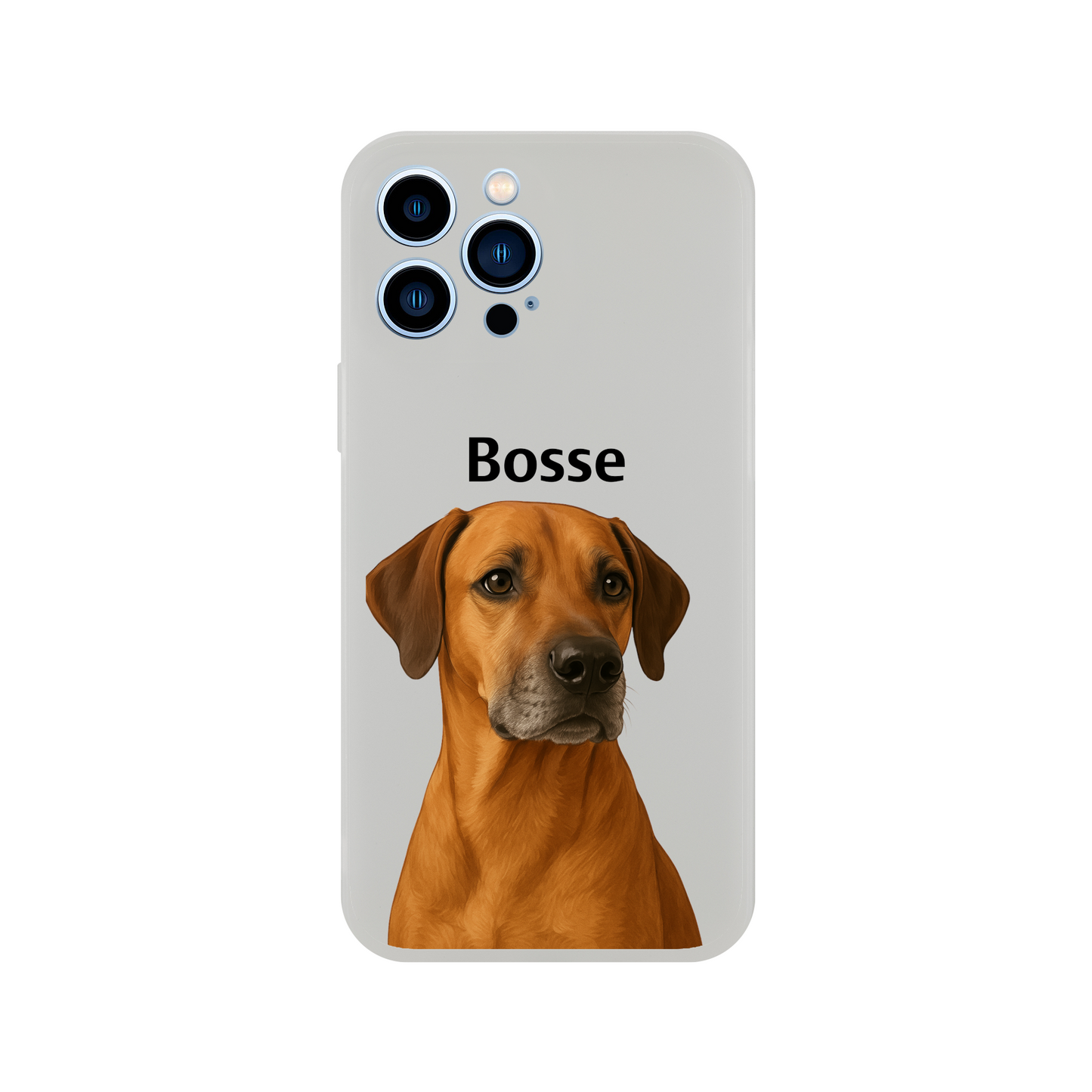 981fbd4e-ba6e-4b59-8d12-d14b5bc4a9dc