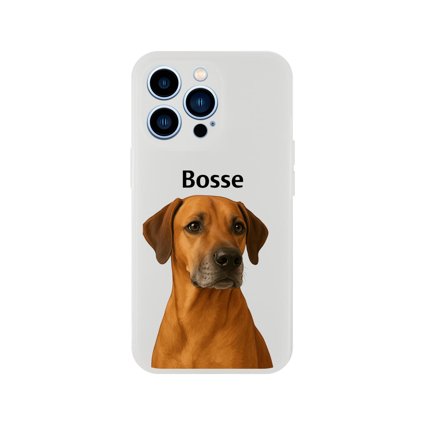 a558f985-0fe4-4b9d-ab72-68f52615ac36