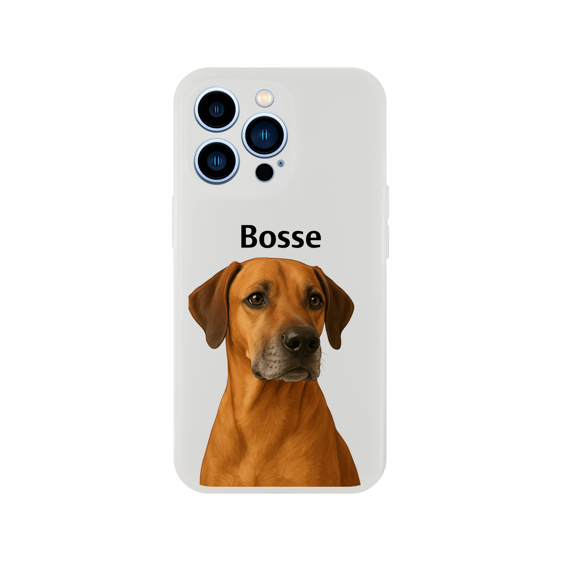 a558f985-0fe4-4b9d-ab72-68f52615ac36