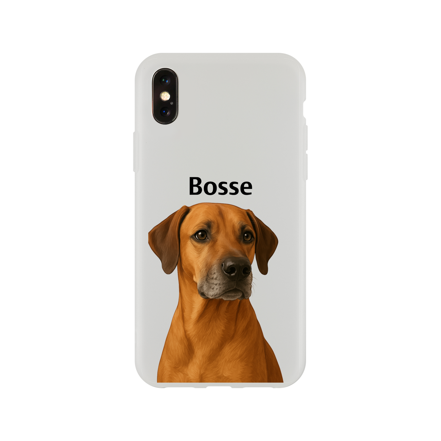 b523bc8e-420c-452d-9fc7-9dcb2193f99f