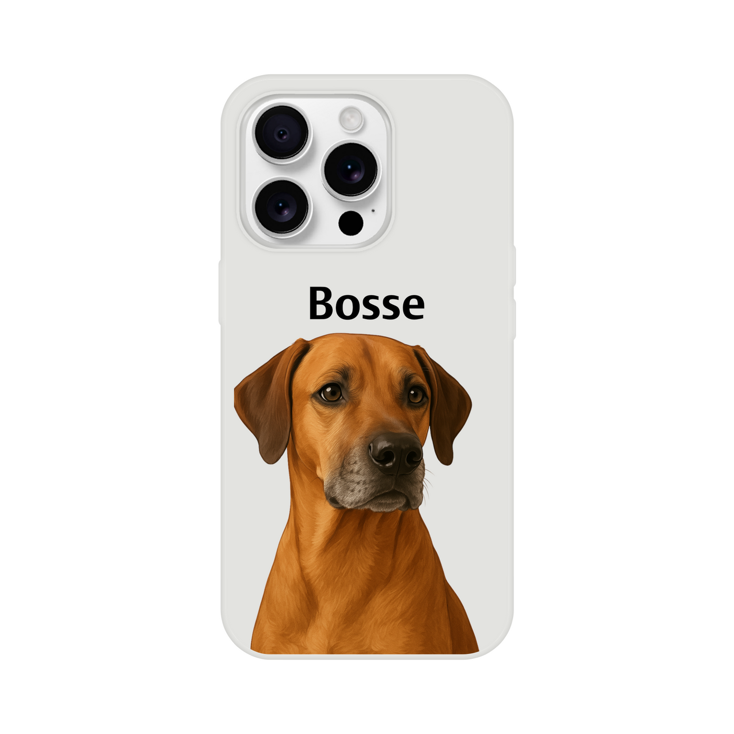 ca214b44-a34f-4f34-8898-2c3590480b18