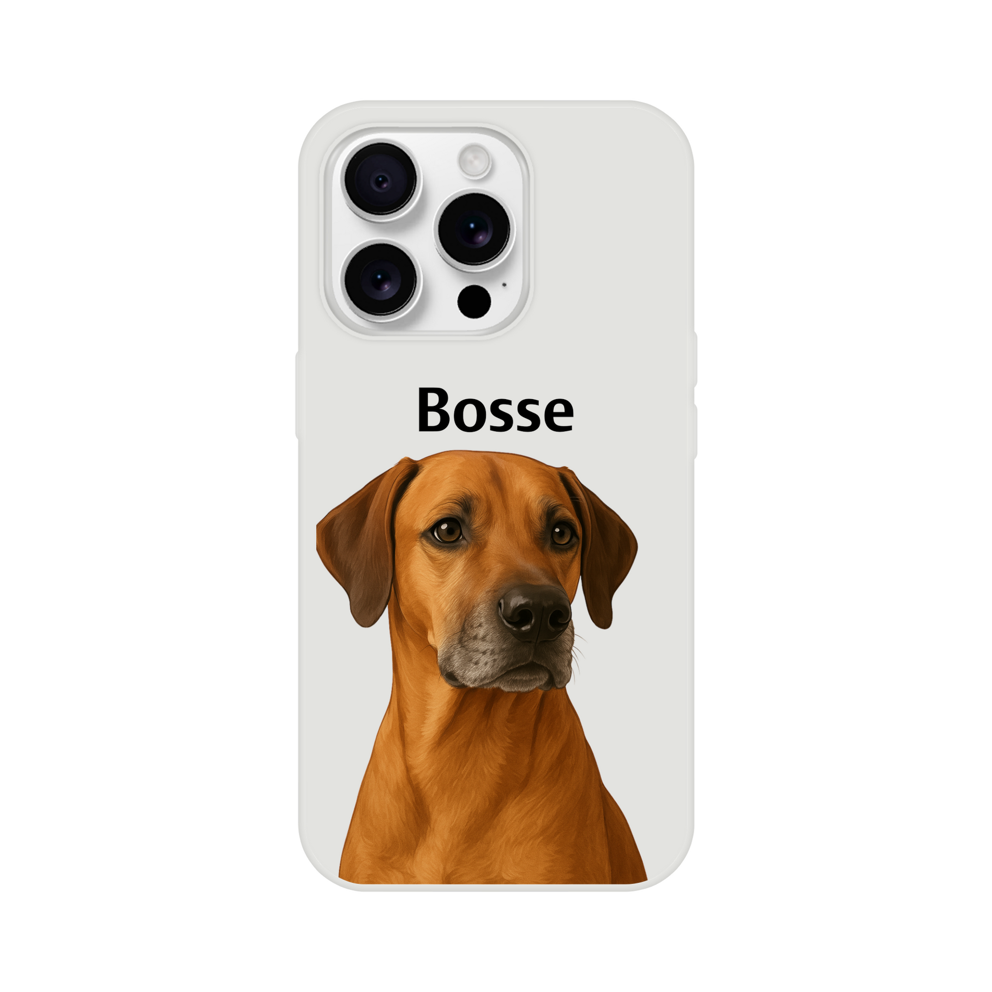 ca214b44-a34f-4f34-8898-2c3590480b18