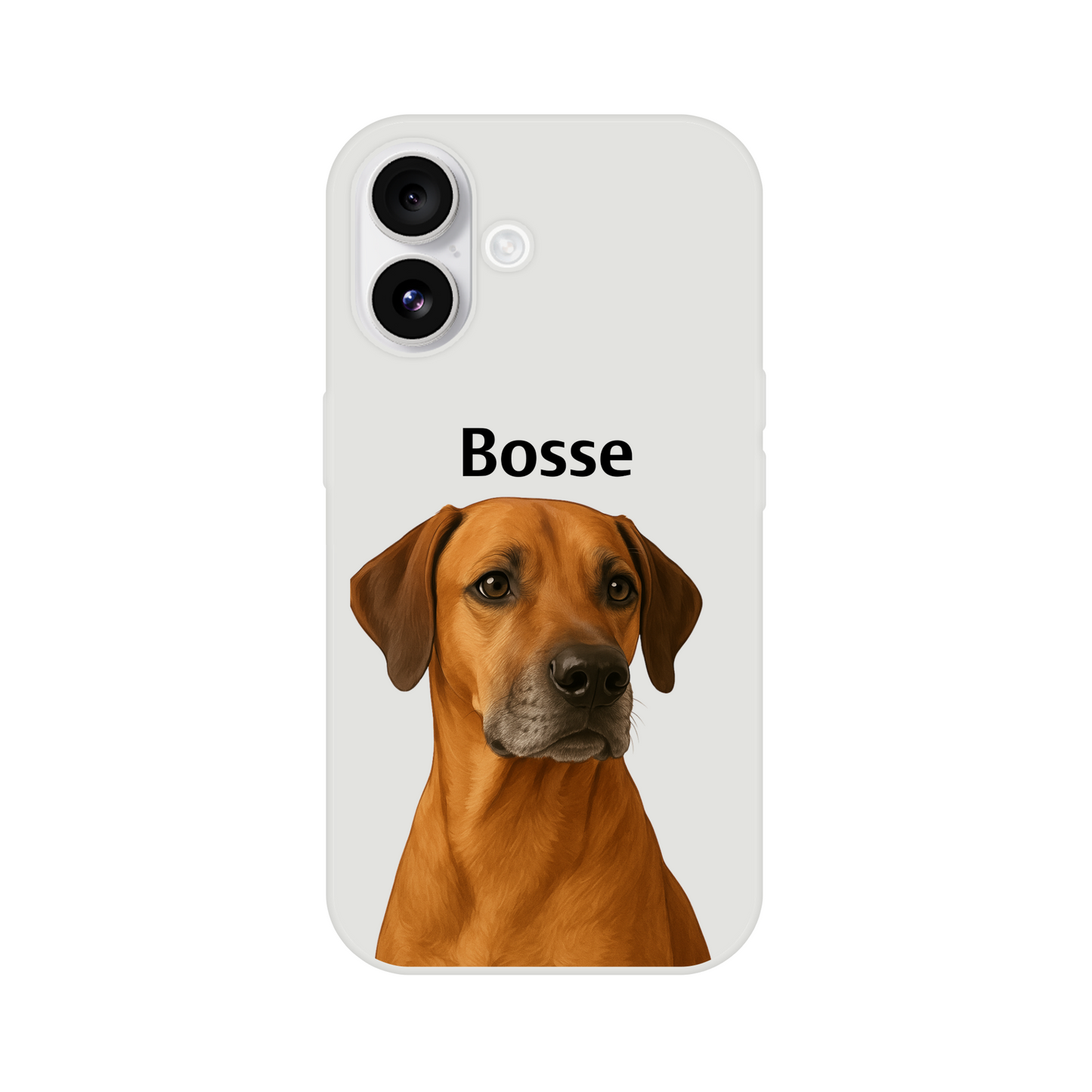 da063786-d80e-464e-b753-a6aec8bf0908