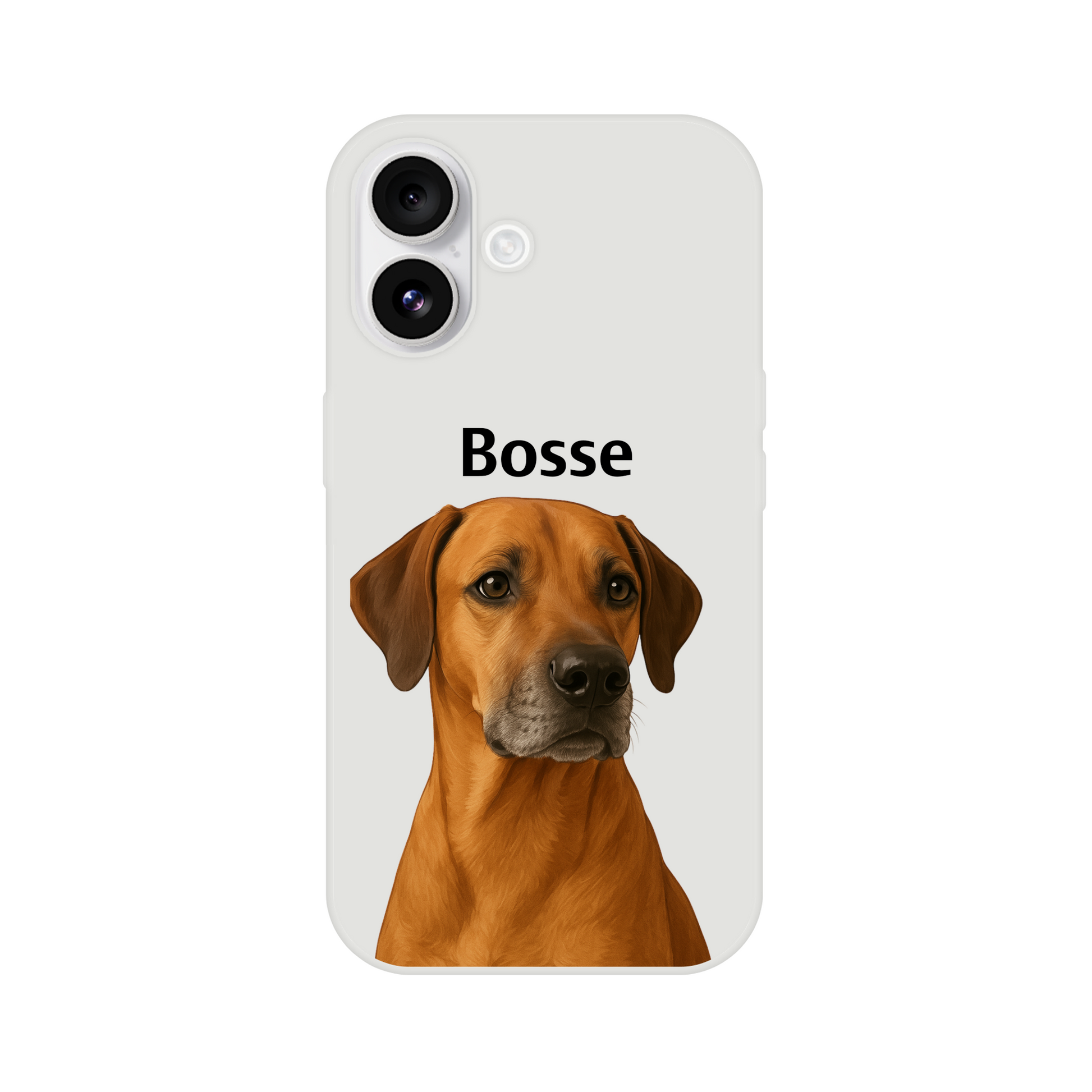 da063786-d80e-464e-b753-a6aec8bf0908