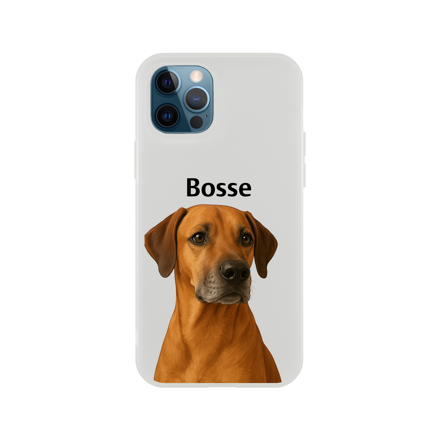 ddf9f2b1-dafd-4874-8c70-ebff763961df