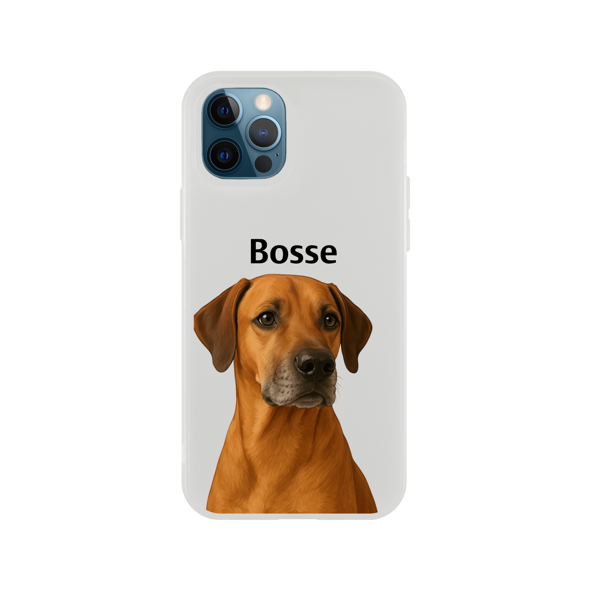 ddf9f2b1-dafd-4874-8c70-ebff763961df