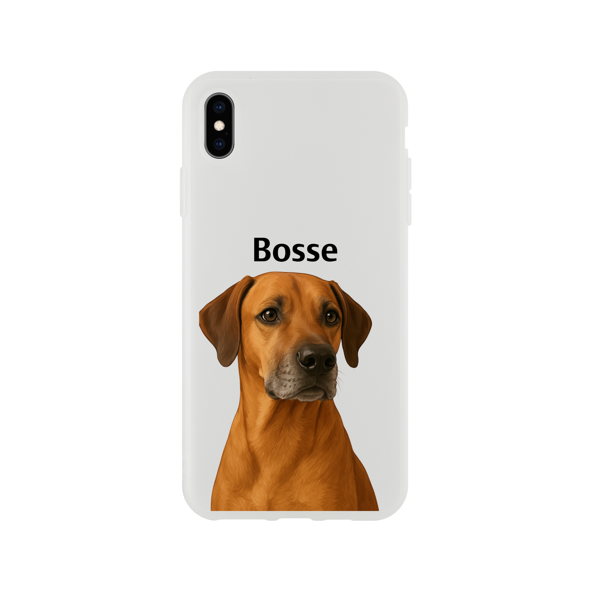 df01acb4-e0e1-4c09-8980-7e3d4f88c0f4